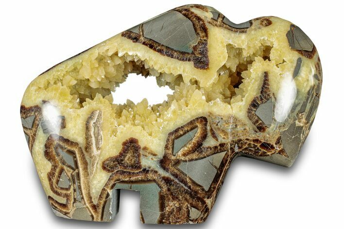 Calcite-Filled Polished Septarian Bison - Utah #301481